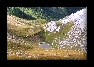 foto (11)